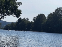 WhatsApp Image 2024-09-01 at 16.46.