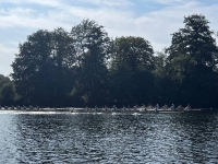 WhatsApp Image 2024-09-01 at 16.46.